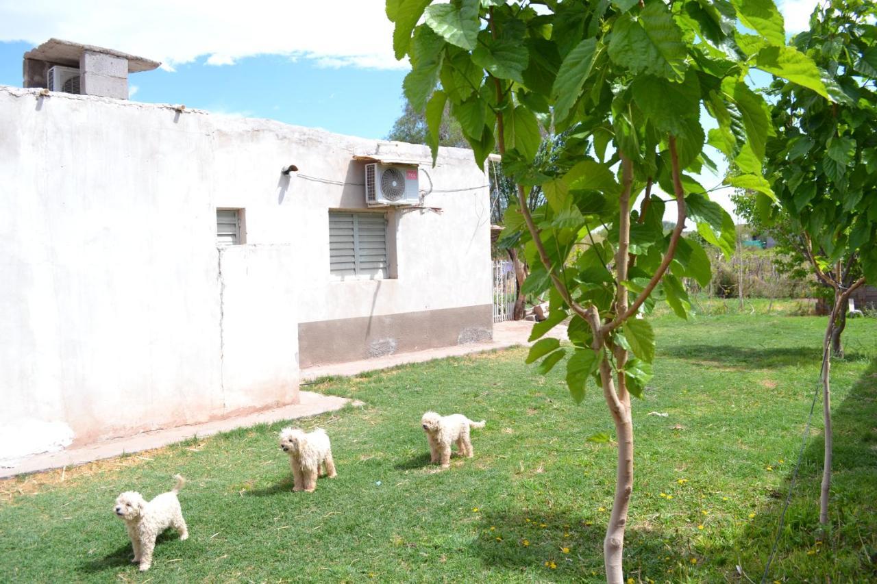 Hospedaje Las Termas Fiambalá Esterno foto